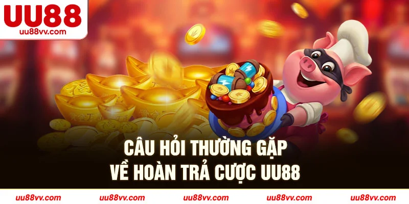 Câu hỏi thường gặp về hoàn trả cược UU88
